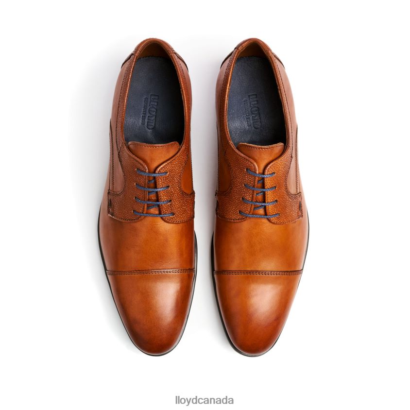 ORWIN LLOYD Men brown R084ZF95 Shoes