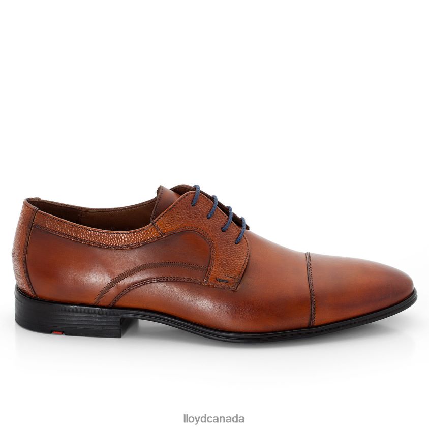 ORWIN LLOYD Men brown R084ZF95 Shoes