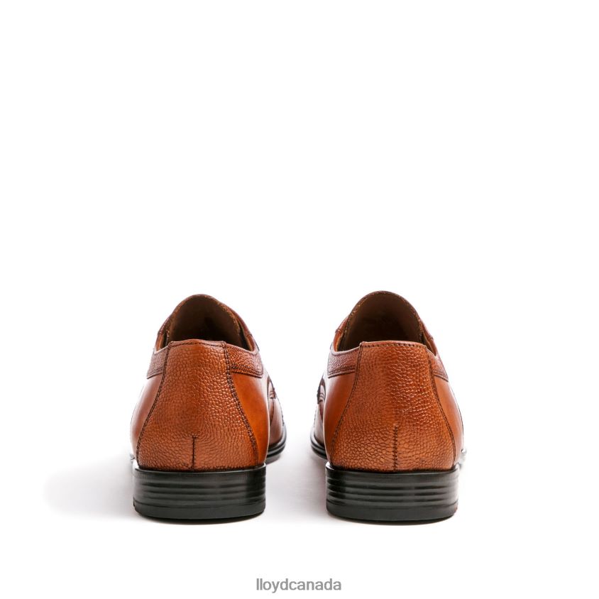 ORWIN LLOYD Men brown R084ZF95 Shoes