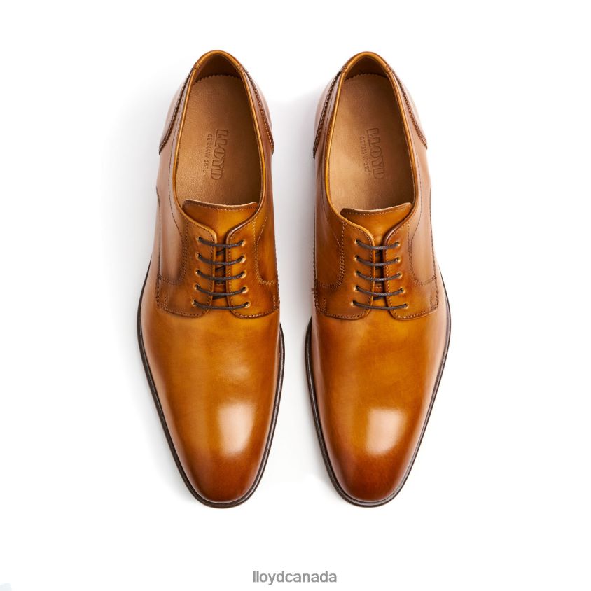 PADOS LLOYD Men brown R084ZF152 Shoes