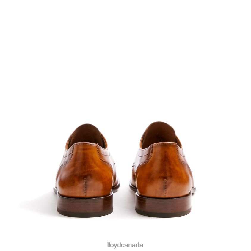 PADOS LLOYD Men brown R084ZF152 Shoes