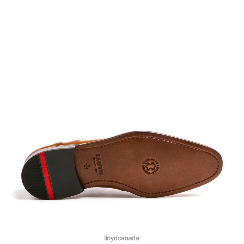 PADOS LLOYD Men brown R084ZF152 Shoes