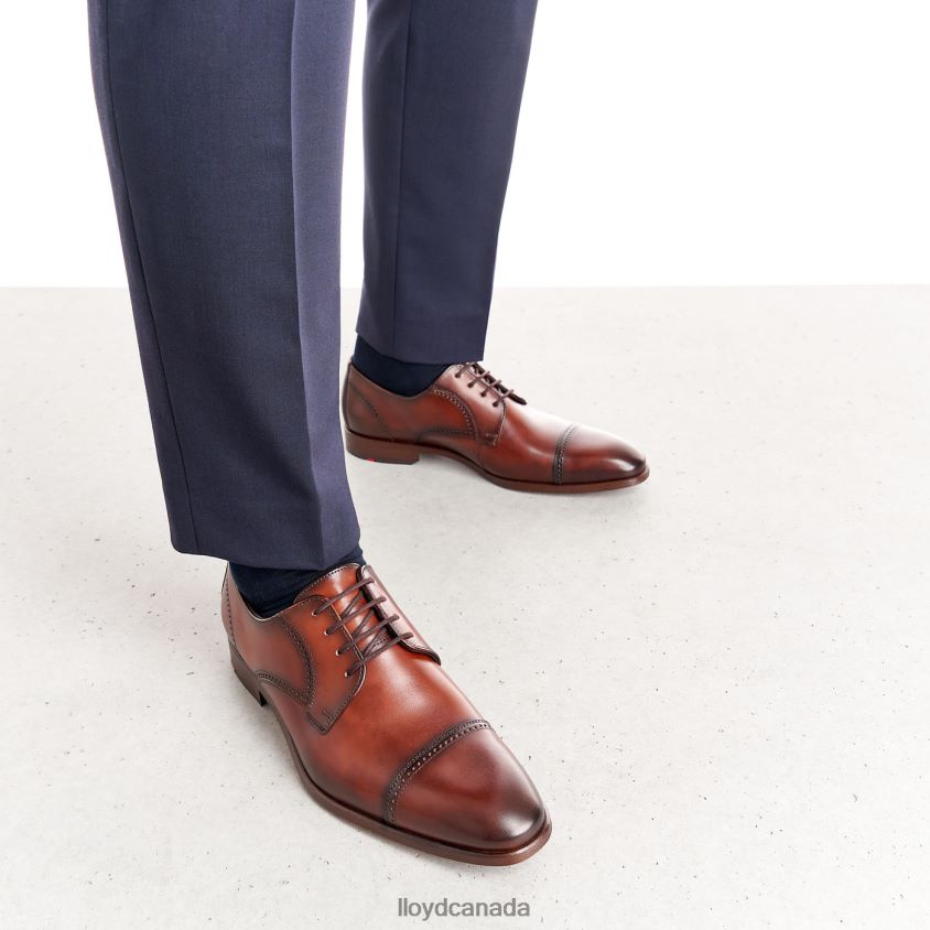 PERRY LLOYD Men brown R084ZF177 Shoes