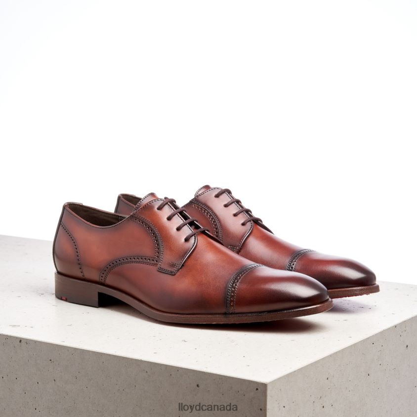 PERRY LLOYD Men brown R084ZF177 Shoes