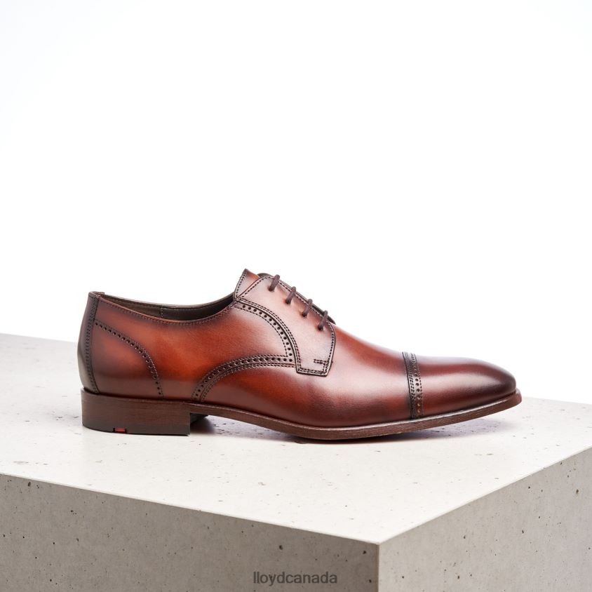 PERRY LLOYD Men brown R084ZF177 Shoes
