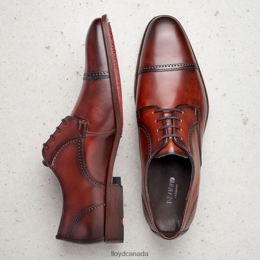 PERRY LLOYD Men brown R084ZF177 Shoes