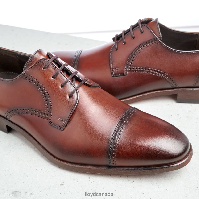 PERRY LLOYD Men brown R084ZF177 Shoes