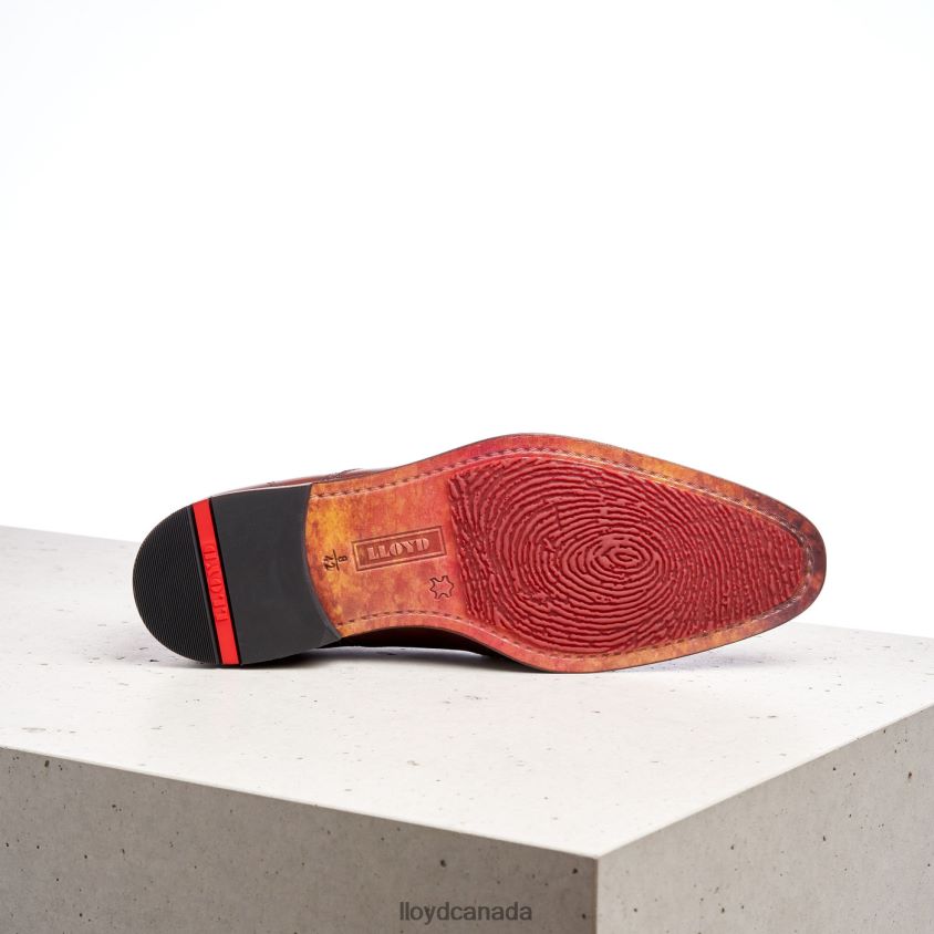 PERRY LLOYD Men brown R084ZF177 Shoes