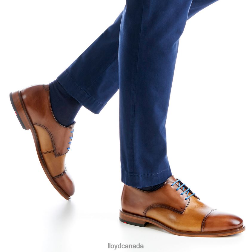 RICK LLOYD Men brown R084ZF216 Shoes