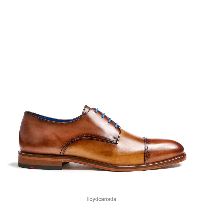 RICK LLOYD Men brown R084ZF216 Shoes