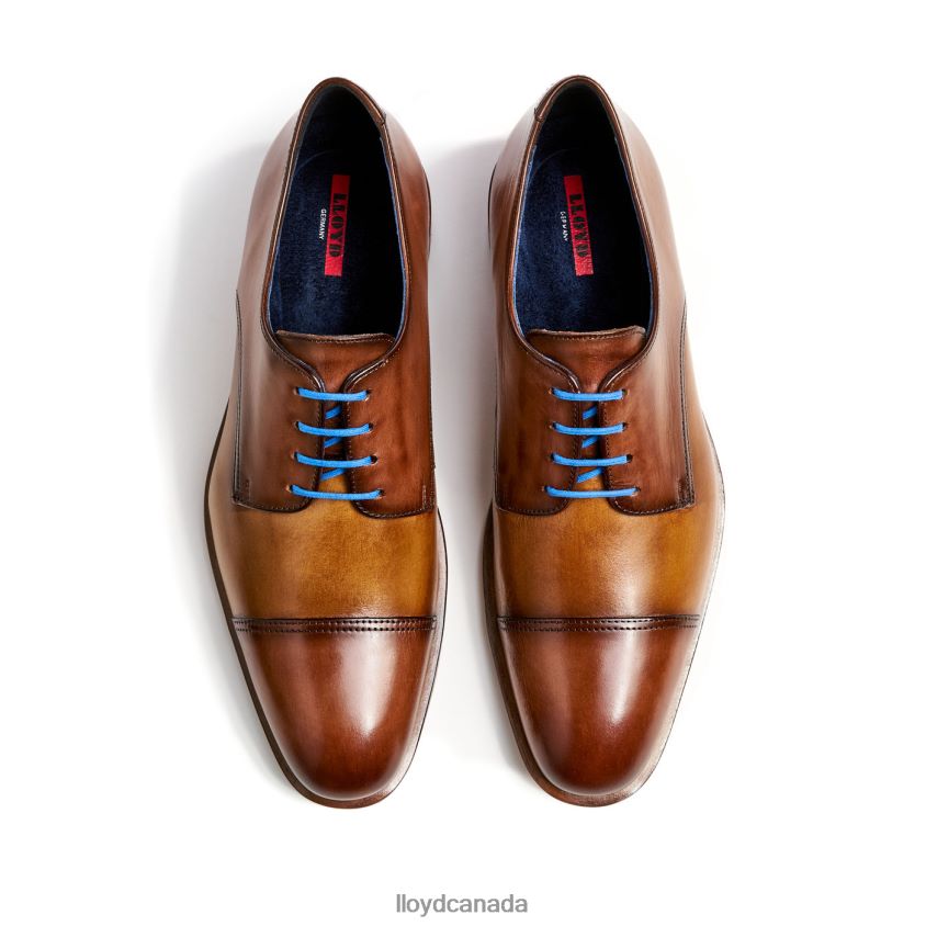 RICK LLOYD Men brown R084ZF216 Shoes