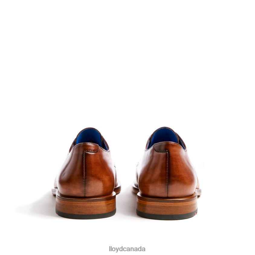 RICK LLOYD Men brown R084ZF216 Shoes