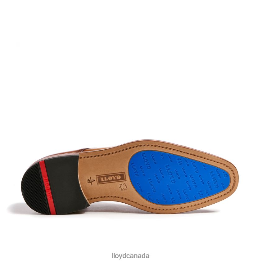 RICK LLOYD Men brown R084ZF216 Shoes