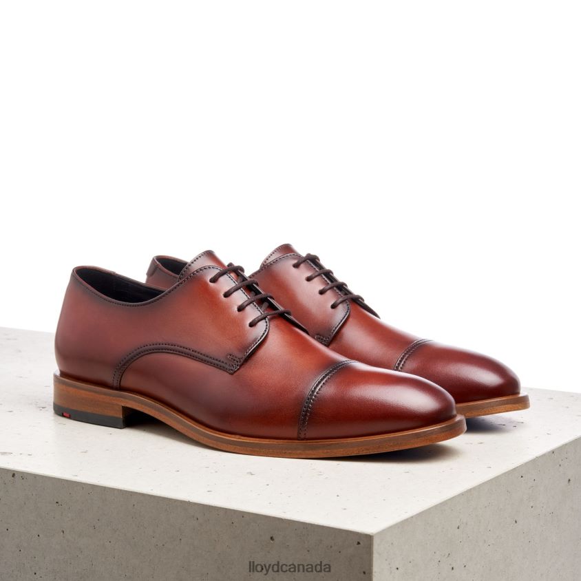 RODNEY LLOYD Men brown R084ZF195 Shoes