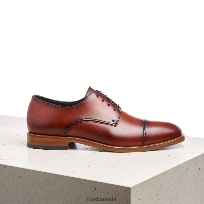 RODNEY LLOYD Men brown R084ZF195 Shoes