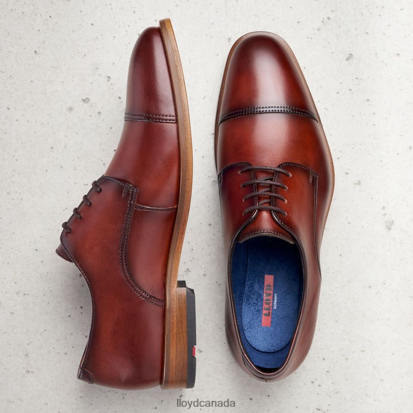 RODNEY LLOYD Men brown R084ZF195 Shoes