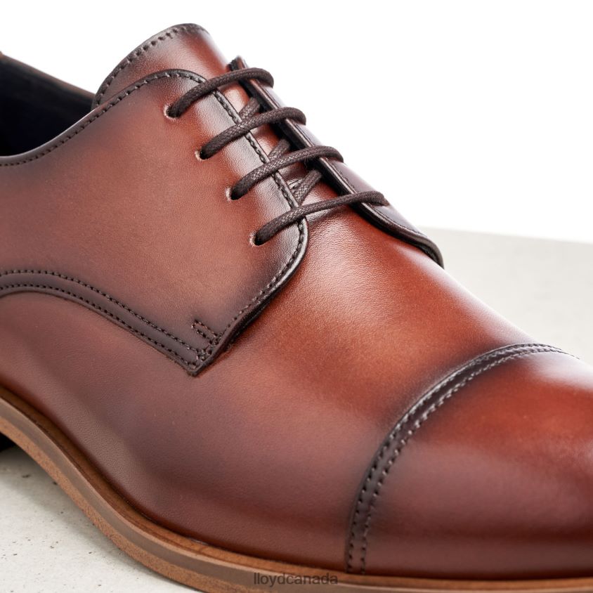RODNEY LLOYD Men brown R084ZF195 Shoes