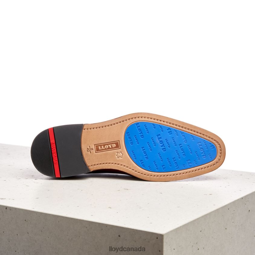 RODNEY LLOYD Men brown R084ZF195 Shoes