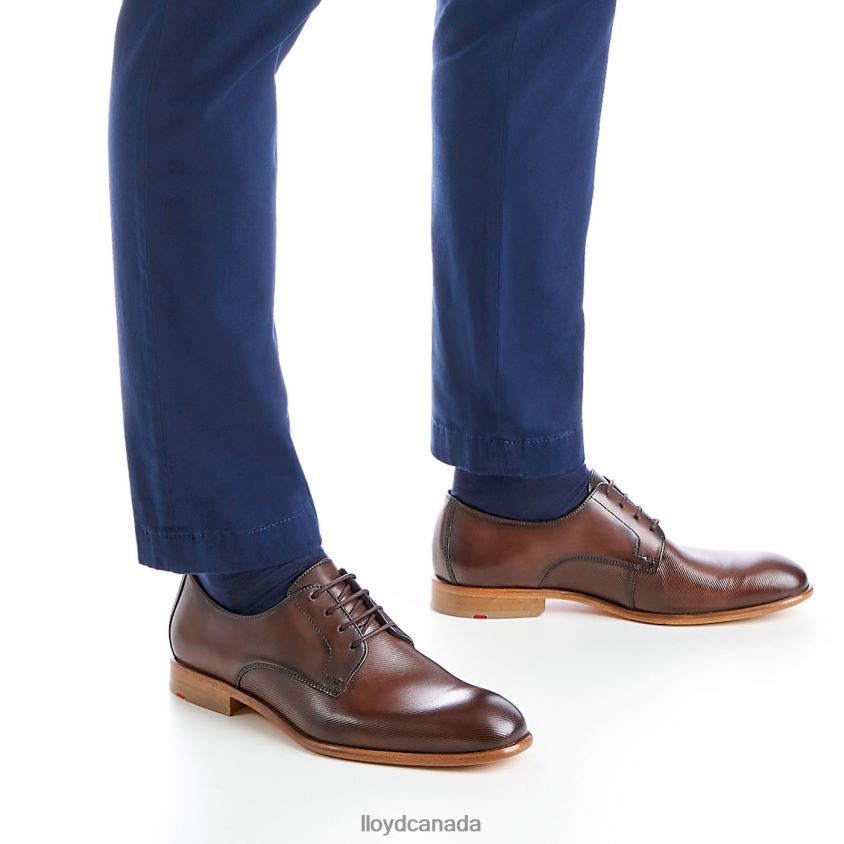 SAIGON LLOYD Men brown R084ZF115 Shoes