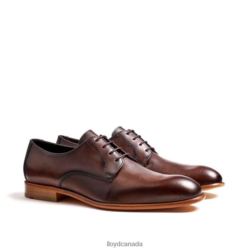 SAIGON LLOYD Men brown R084ZF115 Shoes