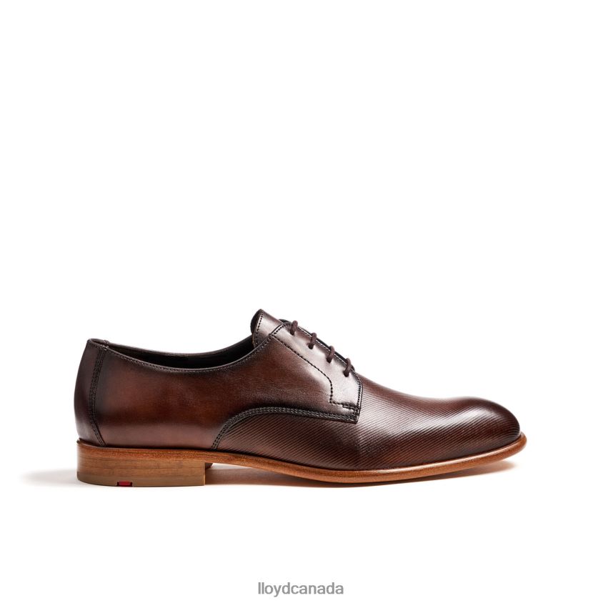 SAIGON LLOYD Men brown R084ZF115 Shoes
