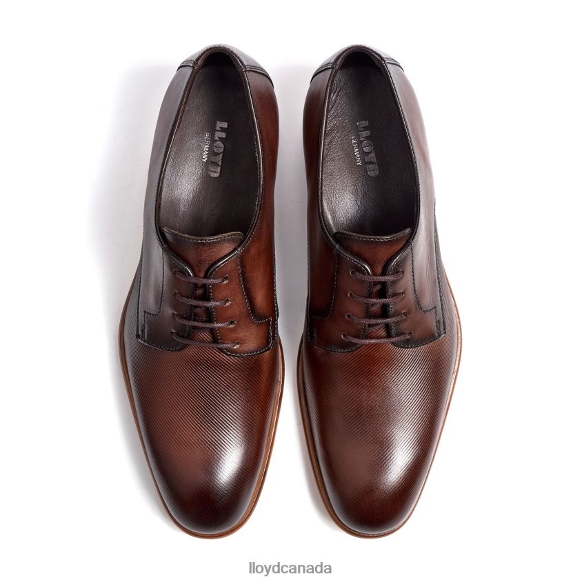 SAIGON LLOYD Men brown R084ZF115 Shoes