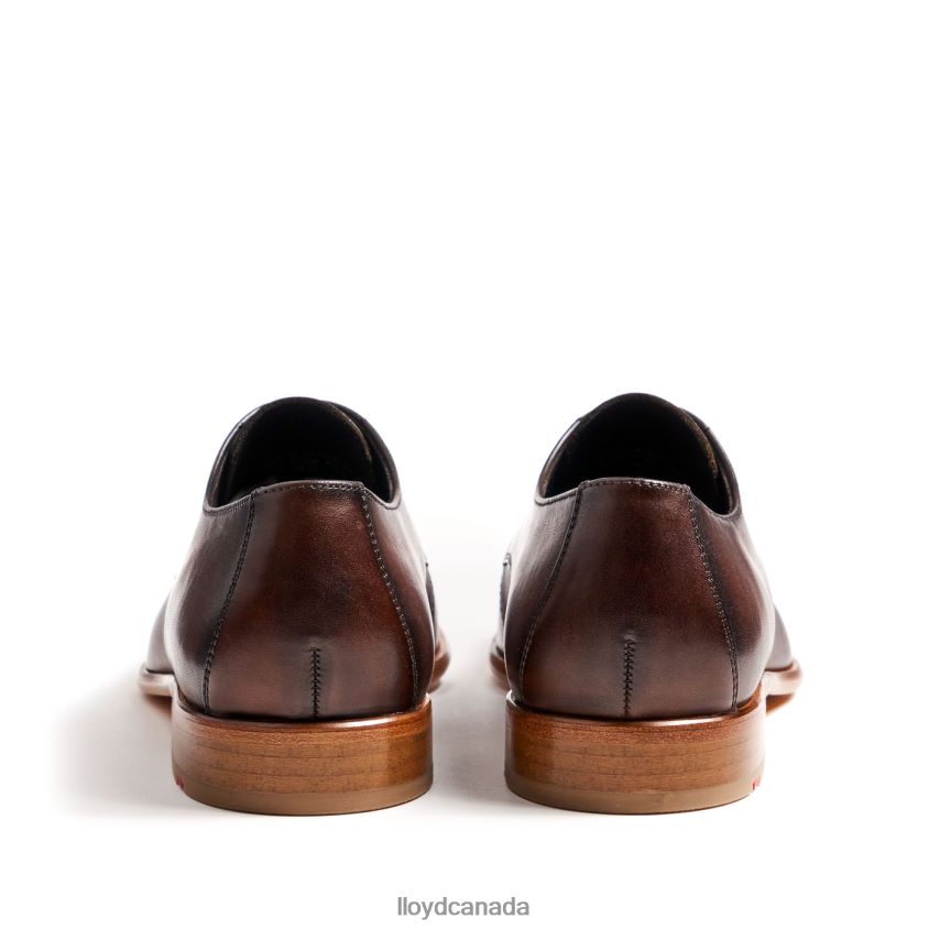 SAIGON LLOYD Men brown R084ZF115 Shoes