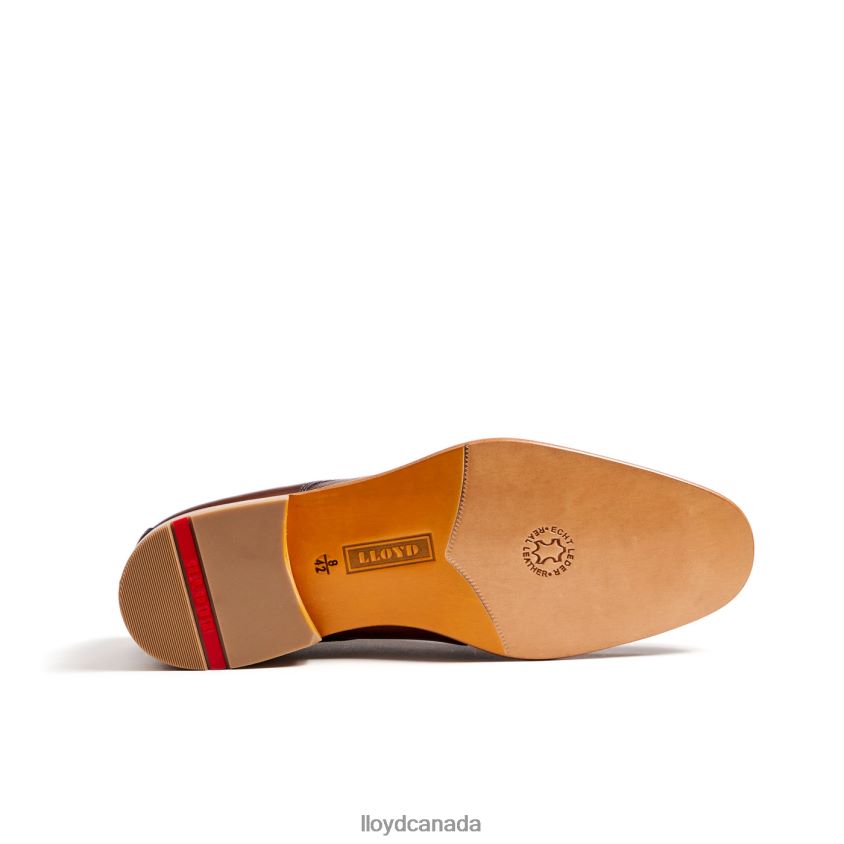 SAIGON LLOYD Men brown R084ZF115 Shoes