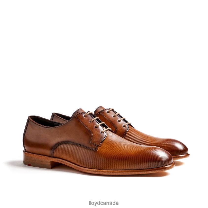 SAIGON LLOYD Men brown R084ZF158 Shoes