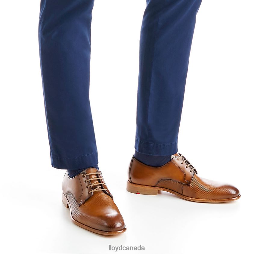 SAIGON LLOYD Men brown R084ZF158 Shoes