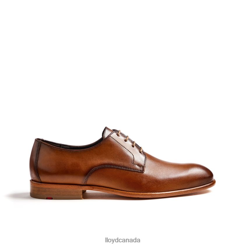 SAIGON LLOYD Men brown R084ZF158 Shoes