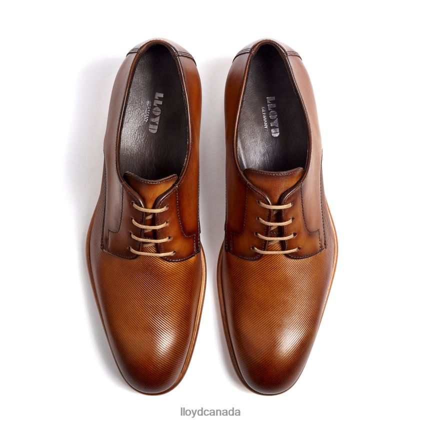 SAIGON LLOYD Men brown R084ZF158 Shoes
