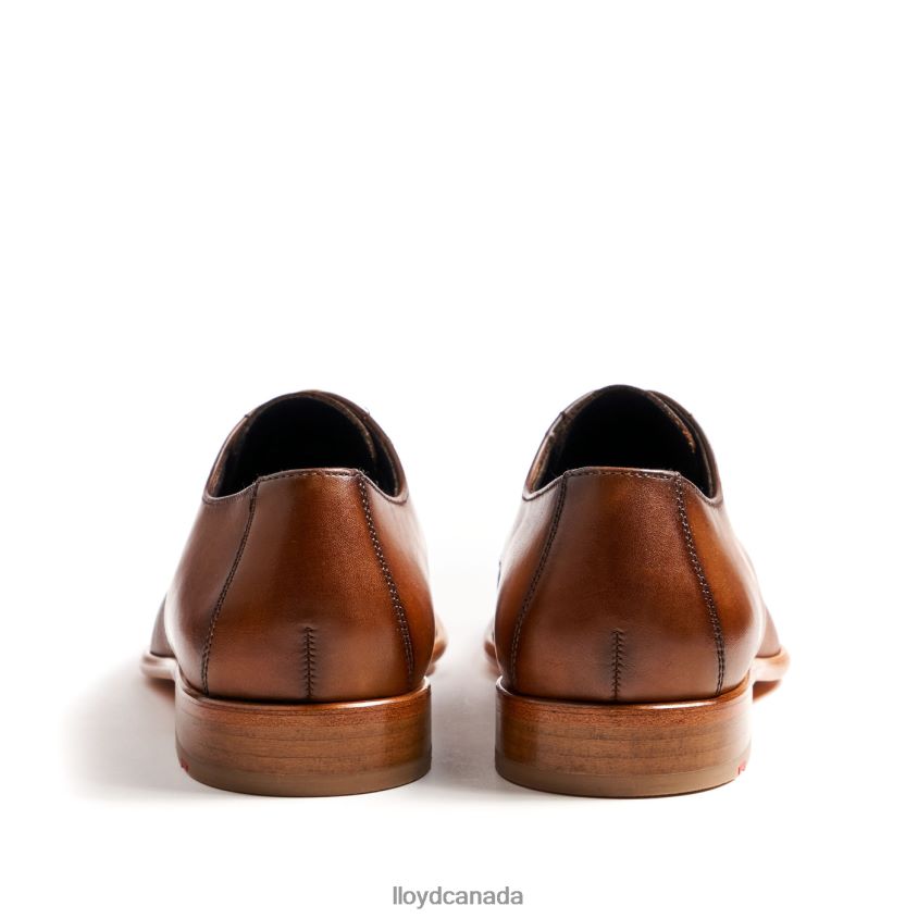 SAIGON LLOYD Men brown R084ZF158 Shoes