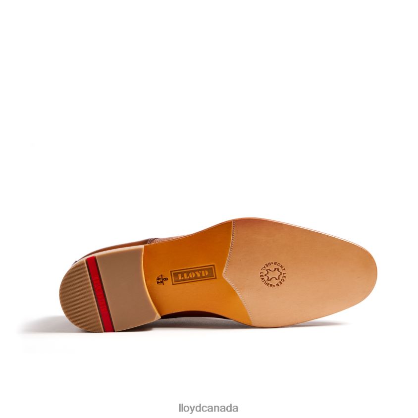 SAIGON LLOYD Men brown R084ZF158 Shoes