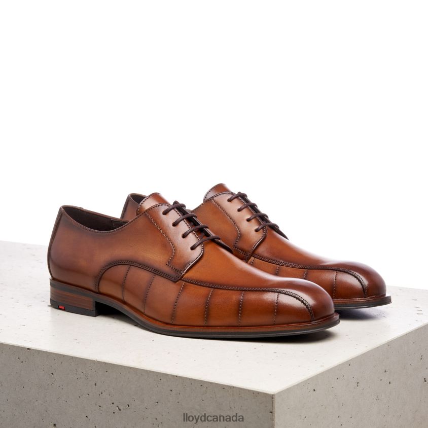 SALUTE LLOYD Men brown R084ZF224 Shoes