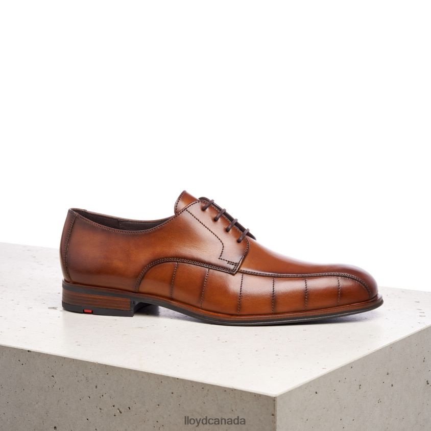 SALUTE LLOYD Men brown R084ZF224 Shoes