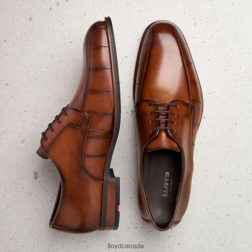 SALUTE LLOYD Men brown R084ZF224 Shoes