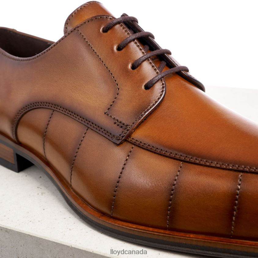 SALUTE LLOYD Men brown R084ZF224 Shoes