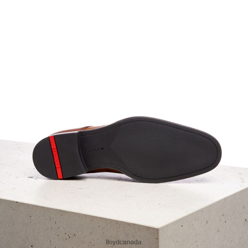 SALUTE LLOYD Men brown R084ZF224 Shoes