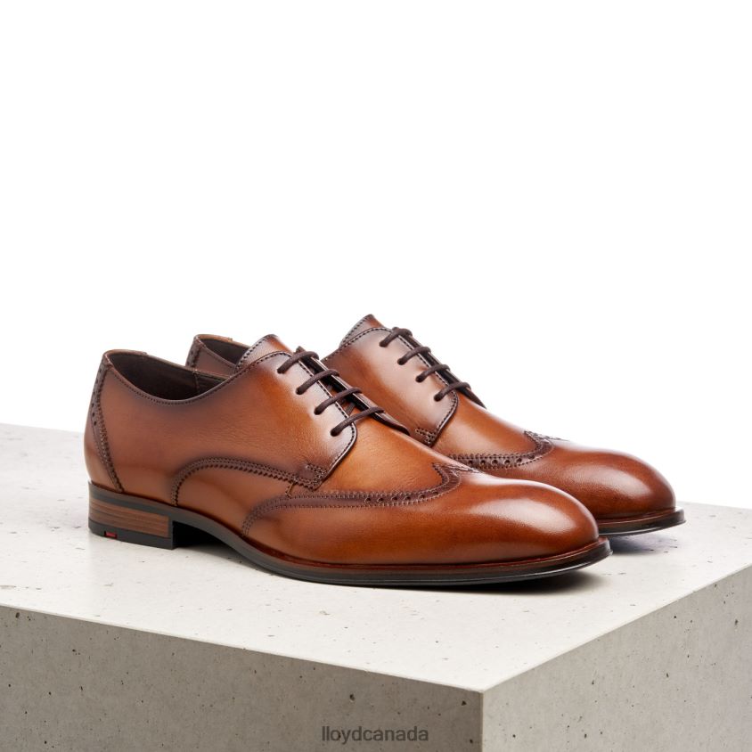 SAMSON LLOYD Men brown R084ZF235 Shoes