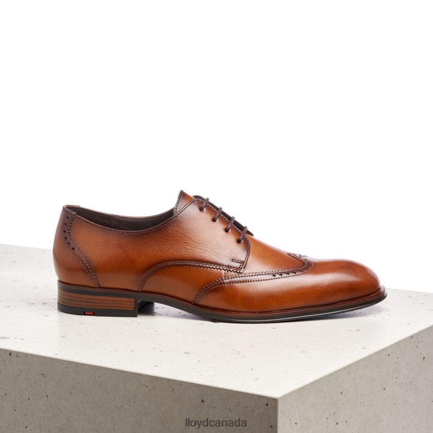 SAMSON LLOYD Men brown R084ZF235 Shoes