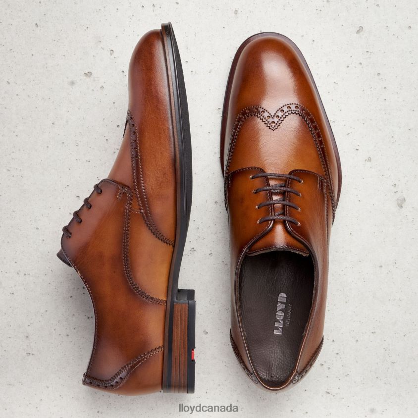 SAMSON LLOYD Men brown R084ZF235 Shoes