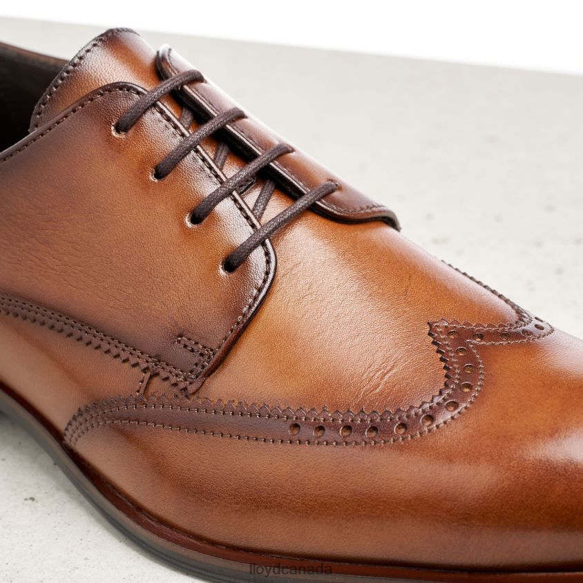 SAMSON LLOYD Men brown R084ZF235 Shoes