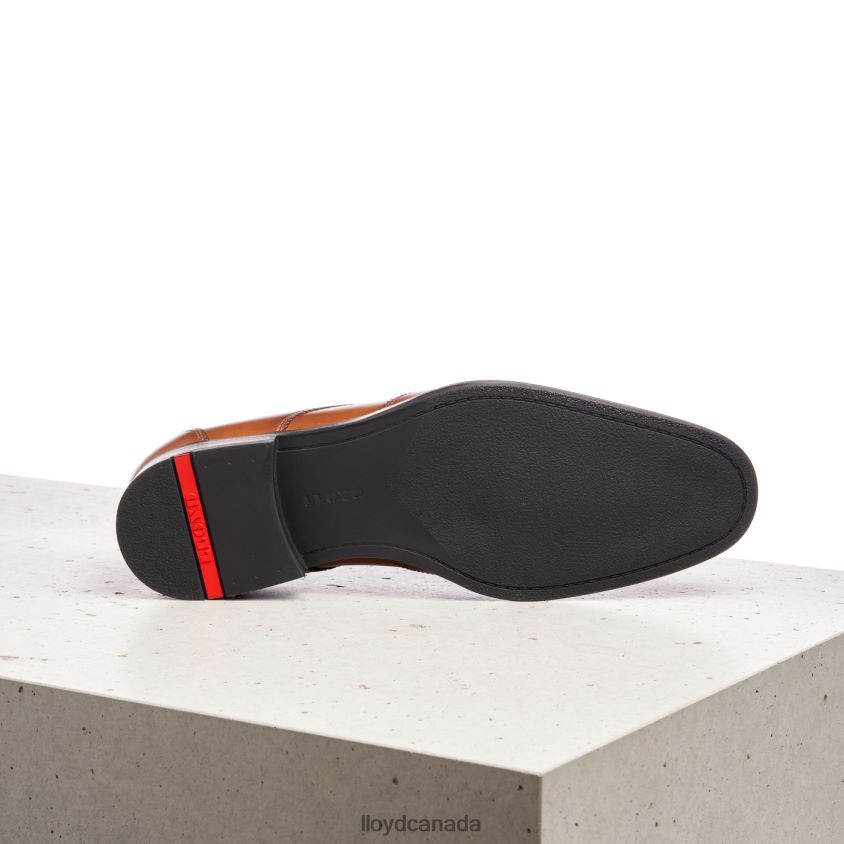 SAMSON LLOYD Men brown R084ZF235 Shoes