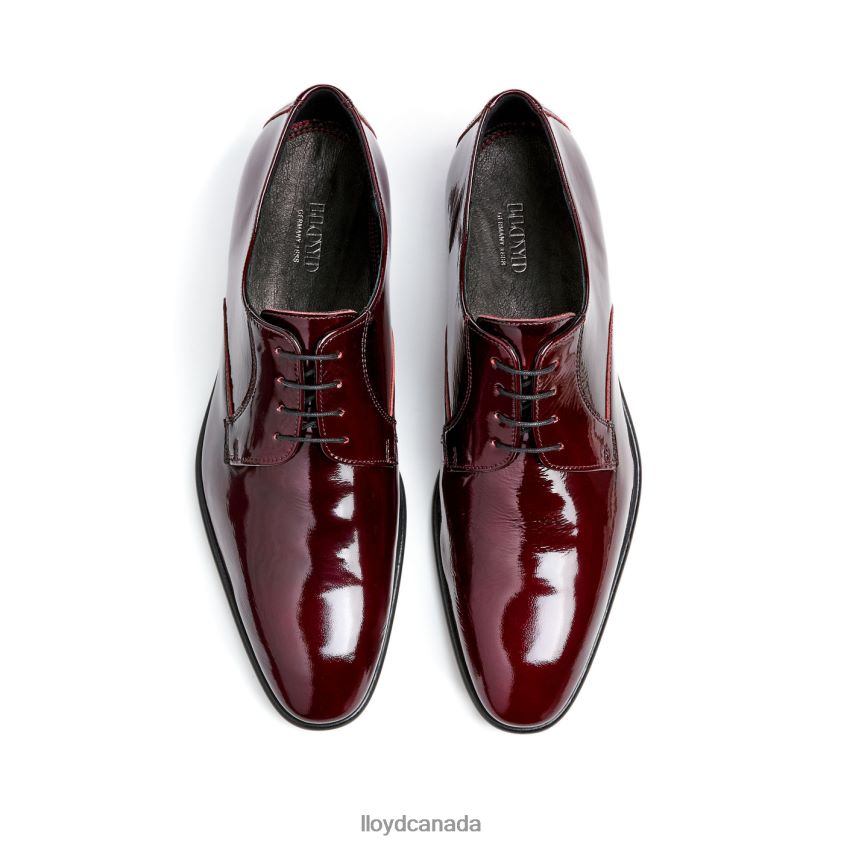 SHAMIR LLOYD Men red R084ZF65 Shoes