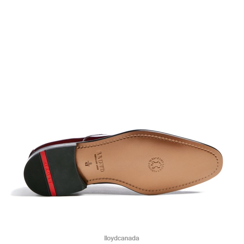 SHAMIR LLOYD Men red R084ZF65 Shoes