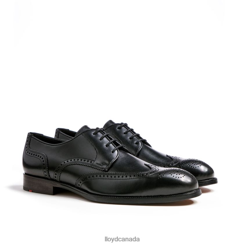 SHERIDAN LLOYD Men black R084ZF79 Shoes