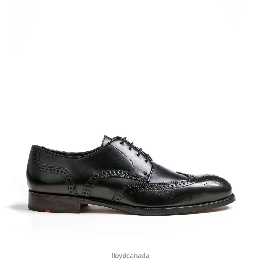 SHERIDAN LLOYD Men black R084ZF79 Shoes