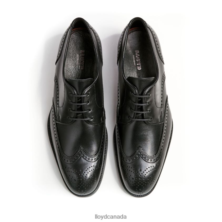 SHERIDAN LLOYD Men black R084ZF79 Shoes