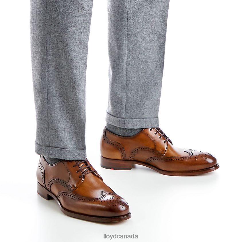 SHERIDAN LLOYD Men brown R084ZF205 Shoes